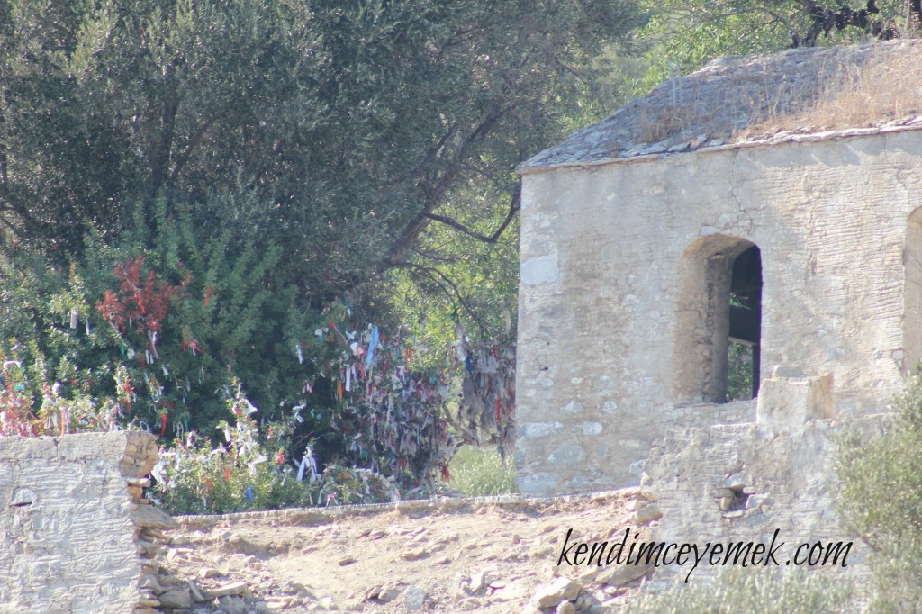 Kamelya Adası(Manastır)