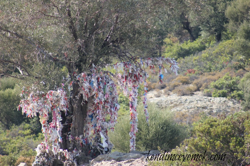 Kamelya Adası(Manastır)