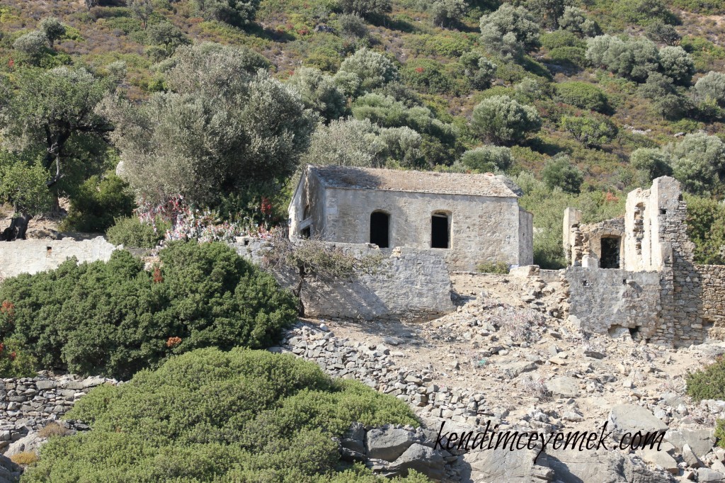 Kamelya Adası(Manastır)